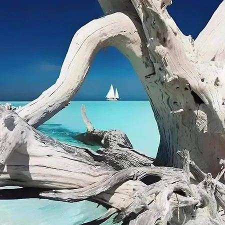 Evasion Luksustelt *