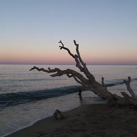 Luksustelt Evasion *